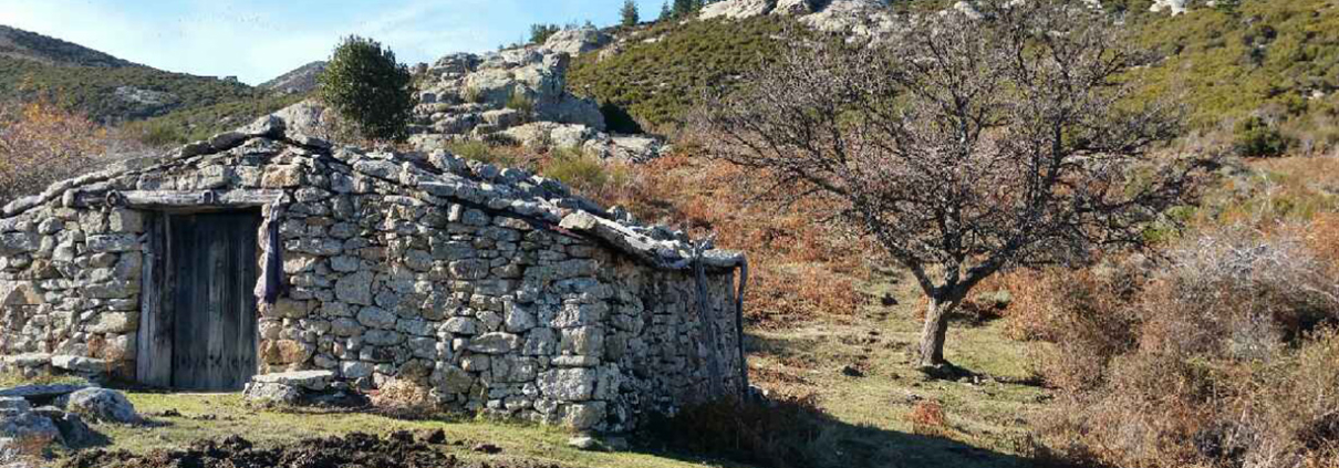 Imprimé de validation du permis de chasser - Fédération des Chasseurs de la  Corse du Sud