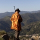 Ouverture et clôture chasse 2025-2026